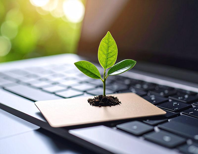 A green 3 leaf plant growing from a card placed on a keyboard of a silver laptop computer.